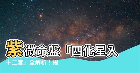 四化星入十二宮詳解|官祿宮飛宮四化入12宮詳解